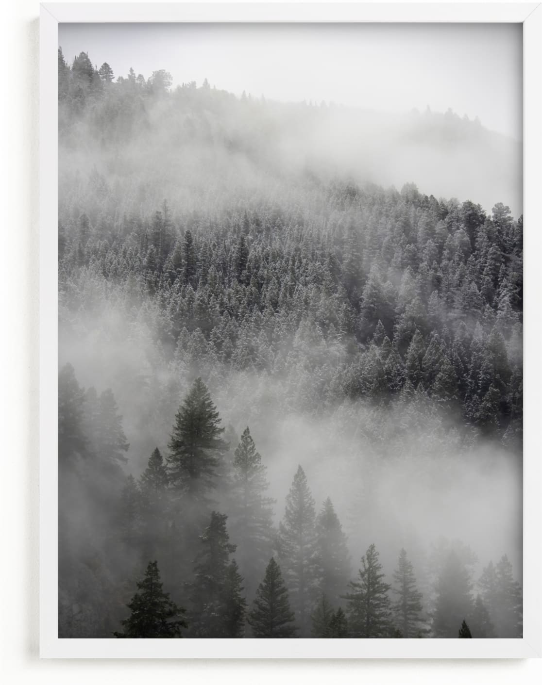 This is a grey art by Jenna Holcomb called Into the Fog.