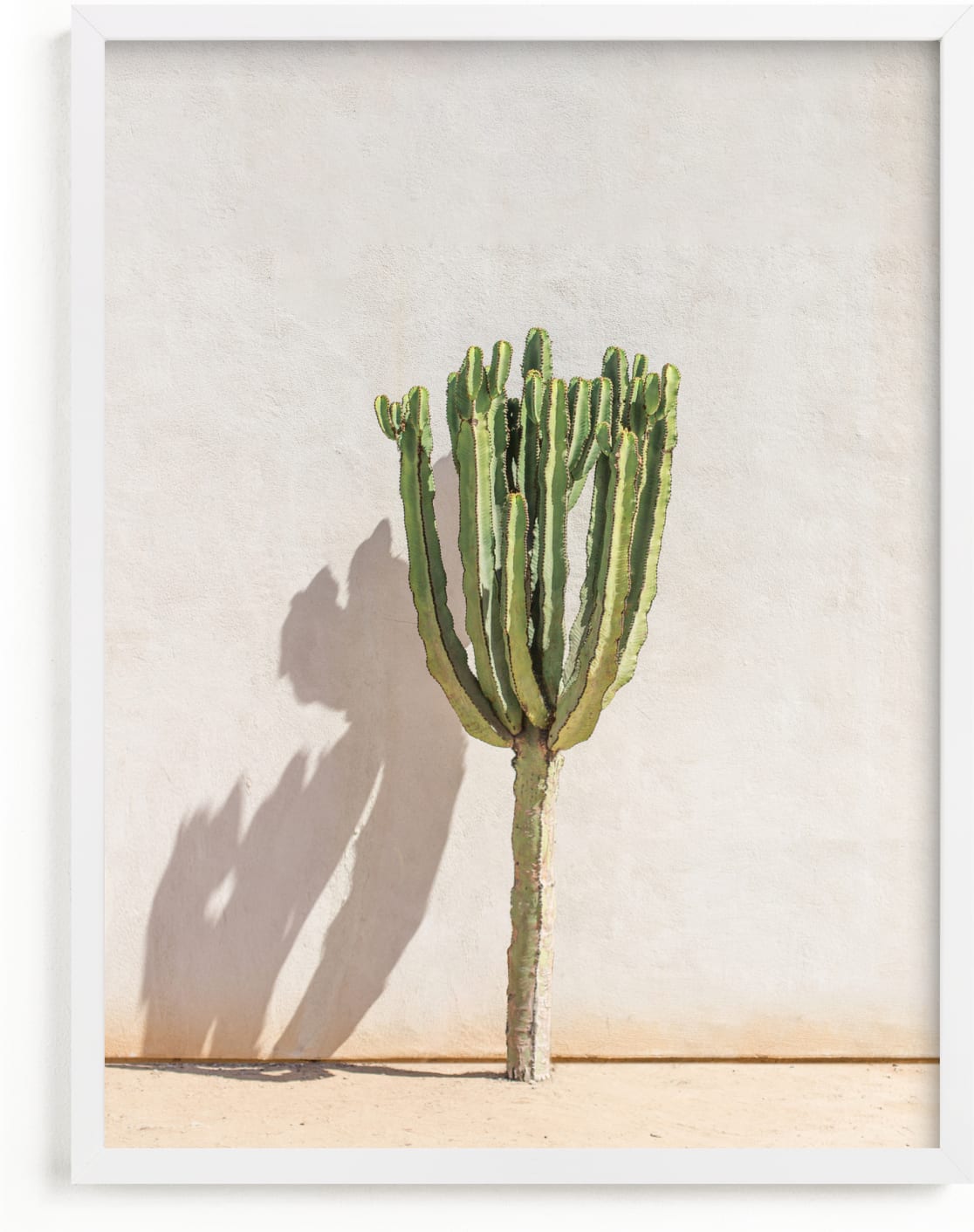 This is a white art by Olivia Kanaley Inman called Lone Cactus.