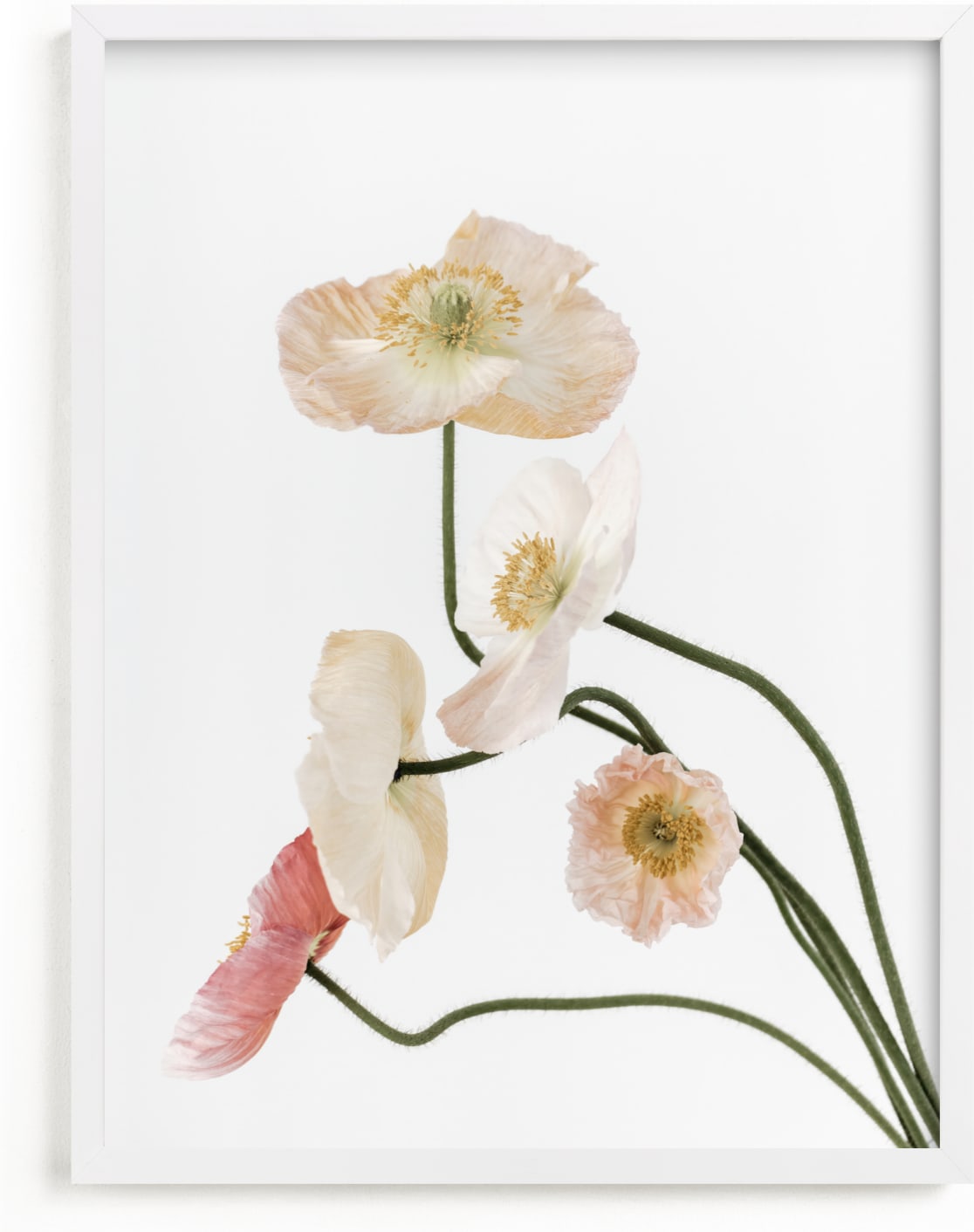 This is a white, pink, green art by Blustery August called Poppies II.