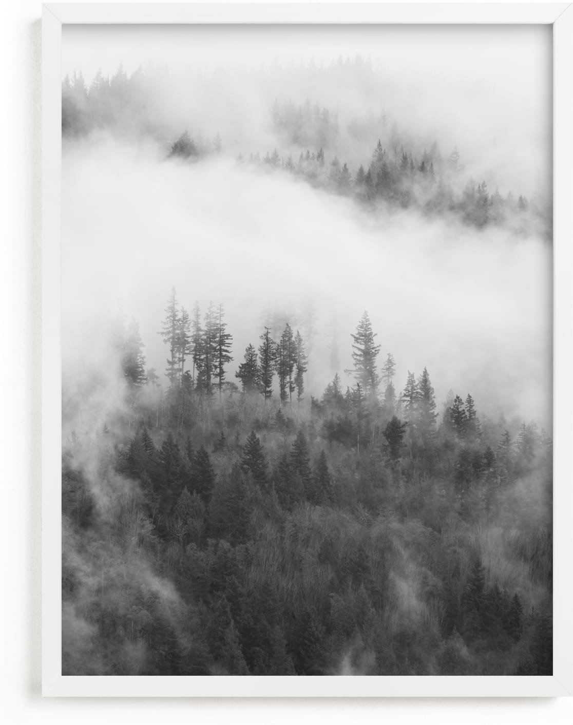 This is a black and white art by Jennifer Morrow called Hillside Fog.