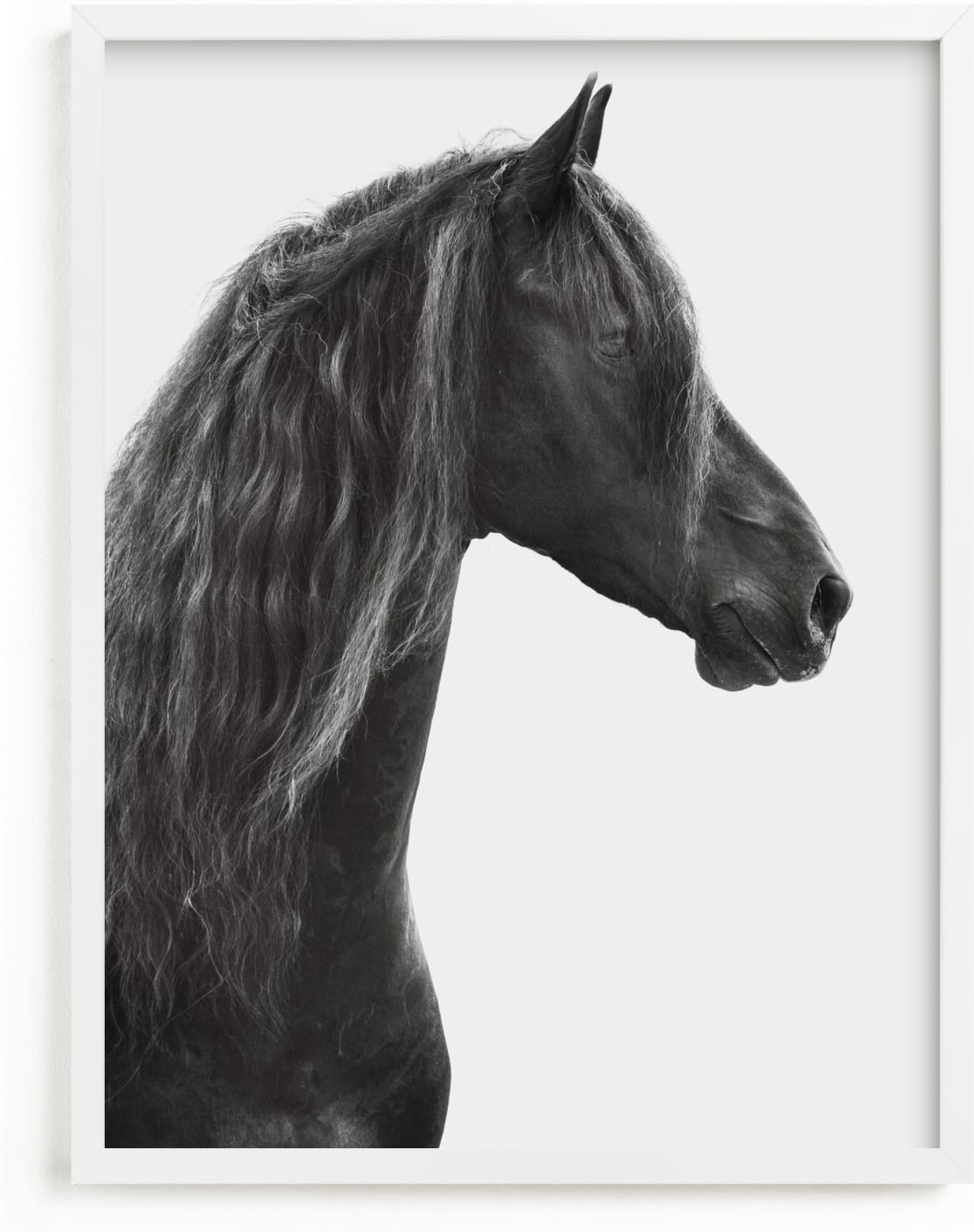 This is a black and white art by Irene Suchocki called Dark Horse.