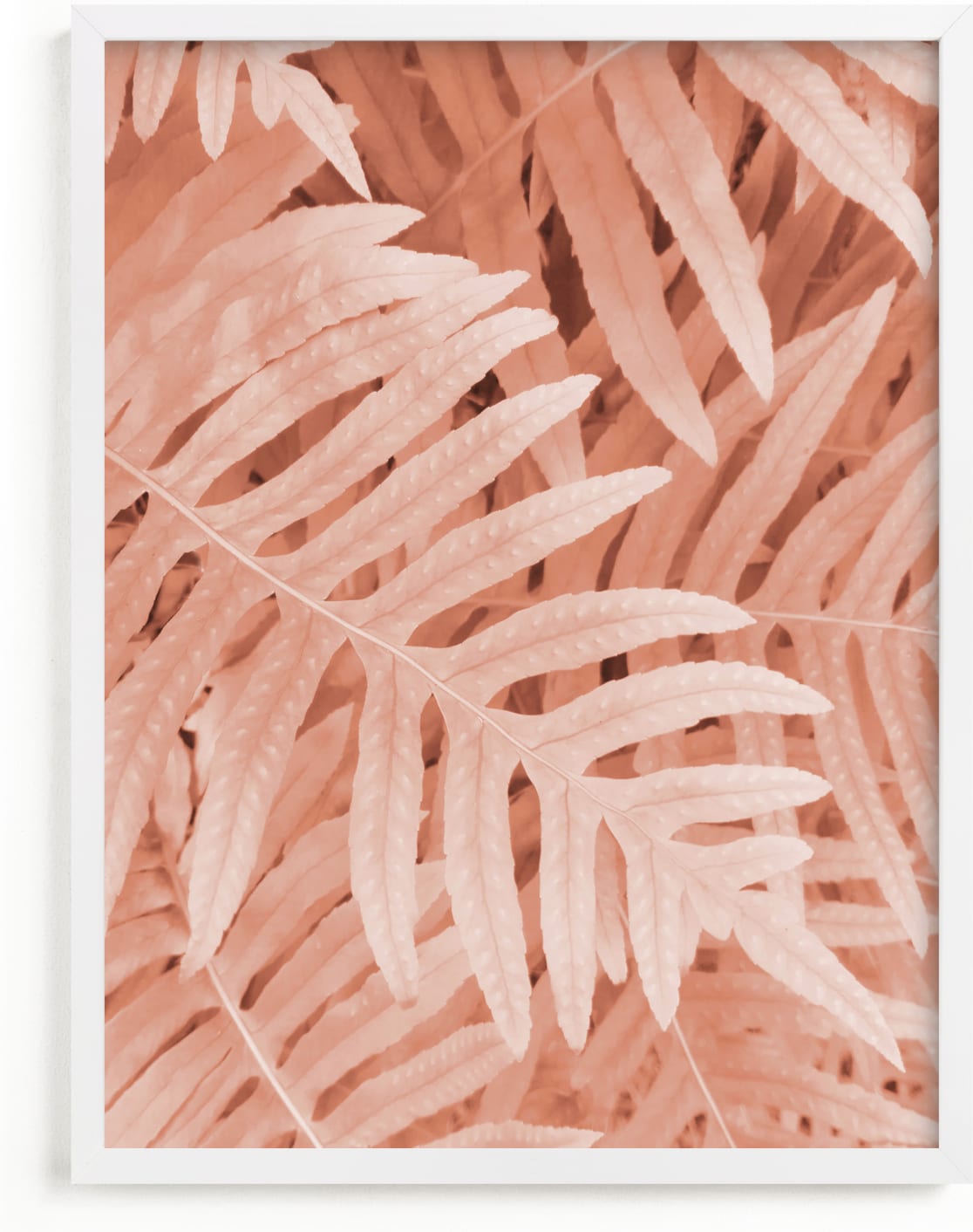 This is a pink art by EMANUELA CARRATONI called Pink Ferns.