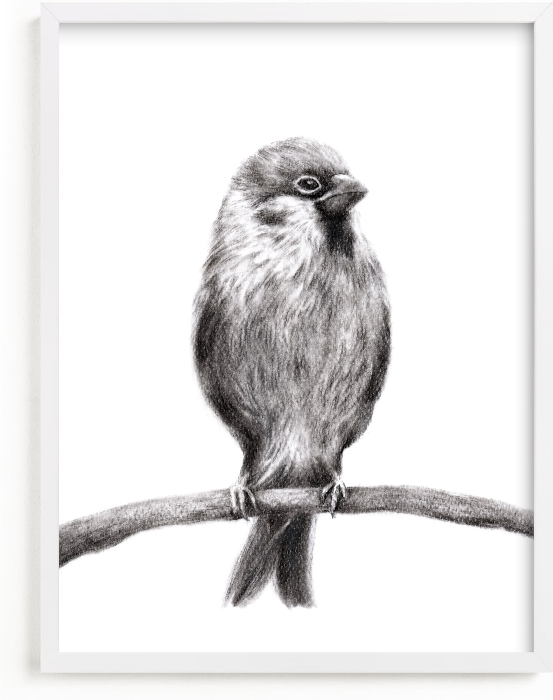 This is a black and white art by Elly called Little Sparrow.
