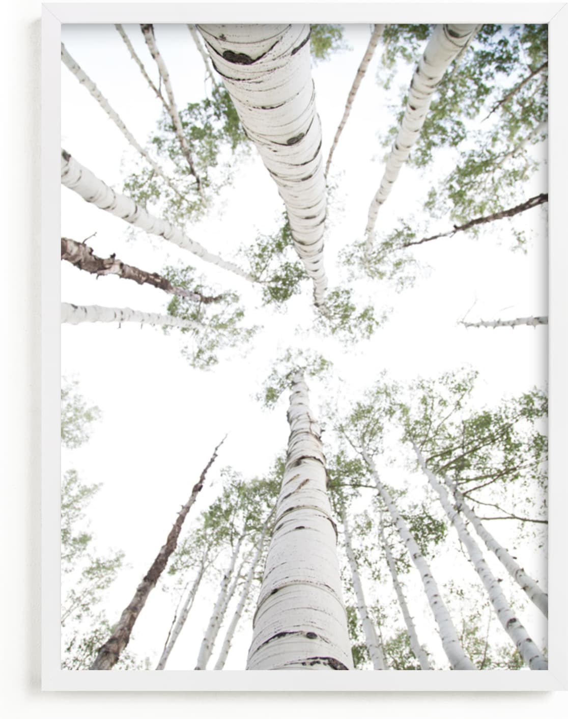 This is a blue art by Kaleb Nimz called Aspens at Altitude.