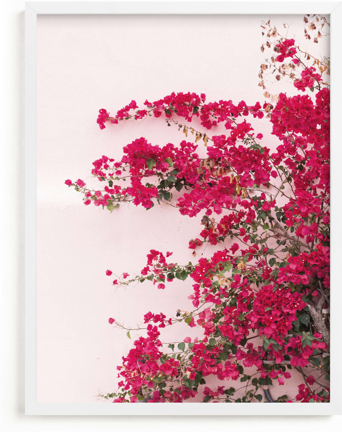 This is a pink art by The One With Wanderlust called Bright Bougainvillea.