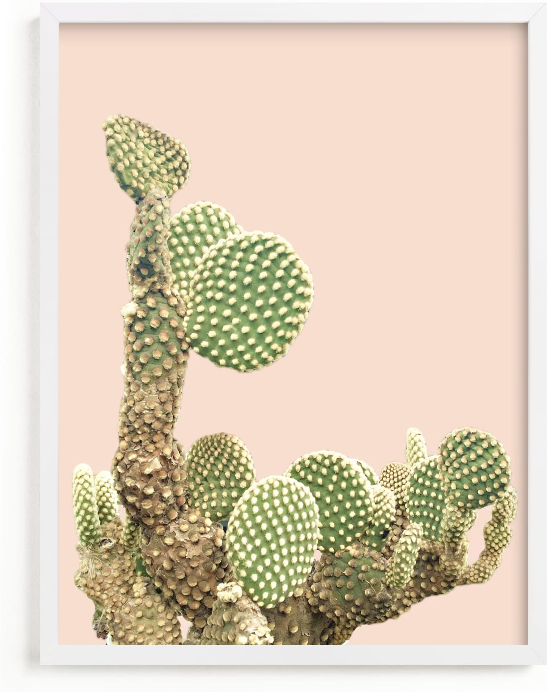 This is a pink art by Baumbirdy called cactus coins.