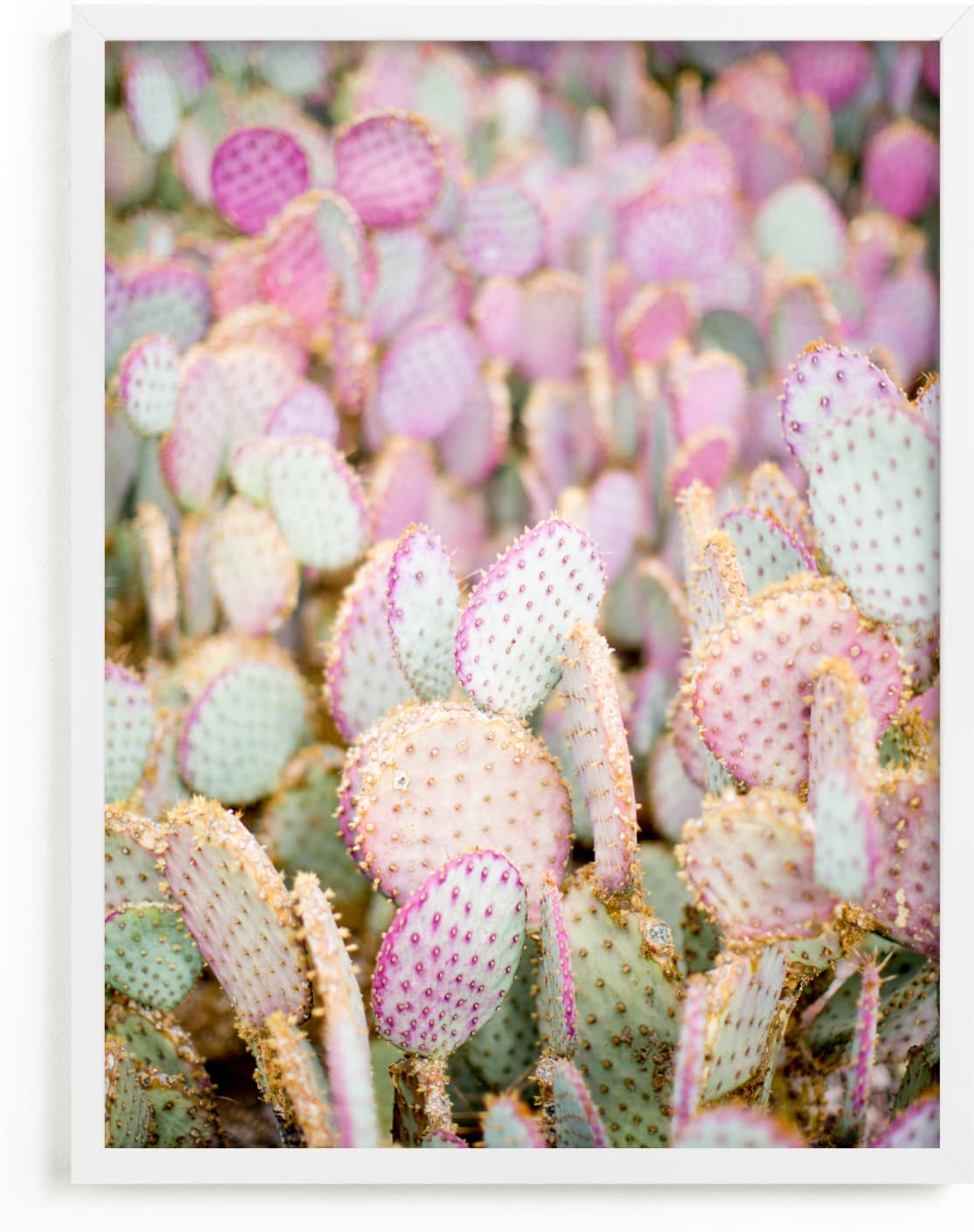 This is a purple art by Shannon Kirsten called PINK CACTI.