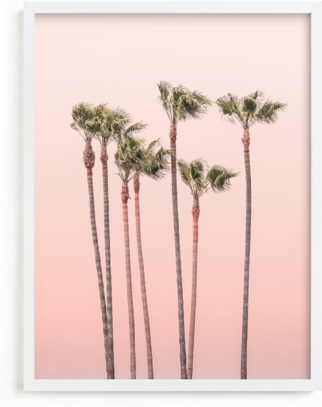 This is a pink art by Lisa Sundin called Seven Palmtrees.