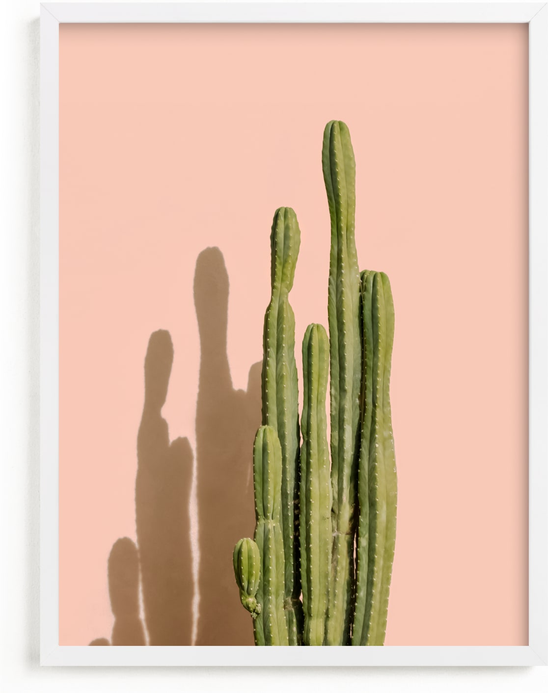 This is a pink art by Lisa Sundin called Palm Desert Cactus.