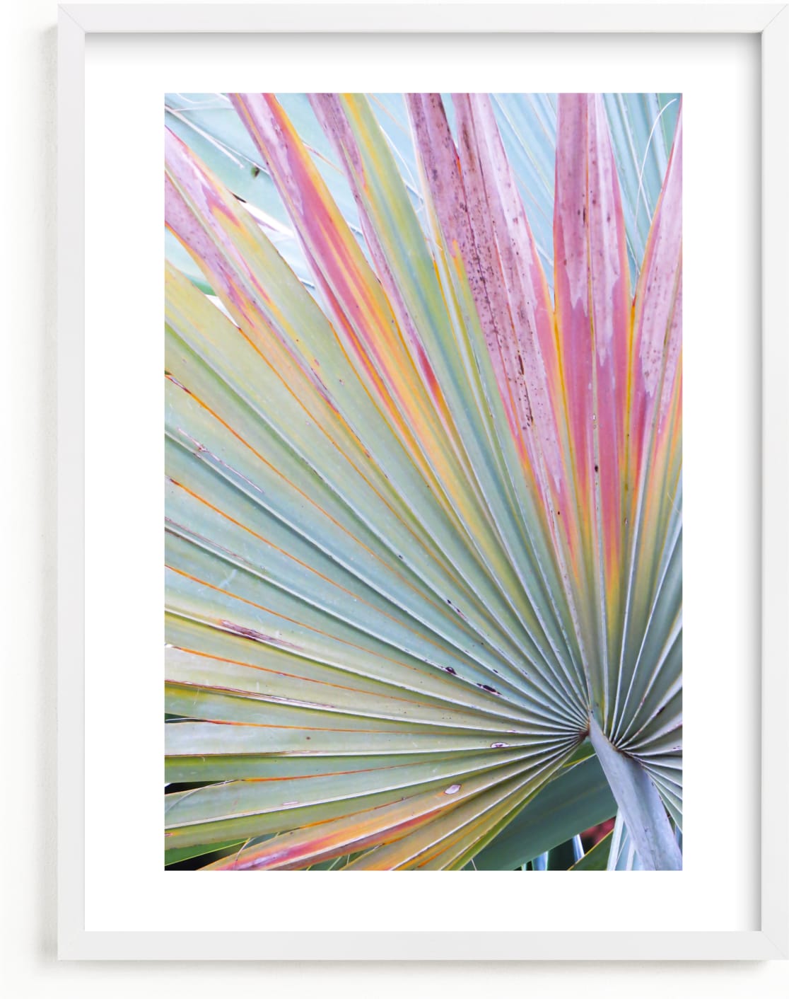 This is a green kids wall art by Eliane Lamb called Colorful fan 2.