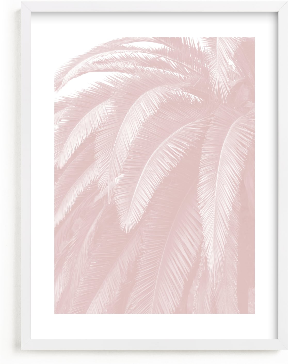 This is a pink kids wall art by Owl and Toad called Soft Palm Top.
