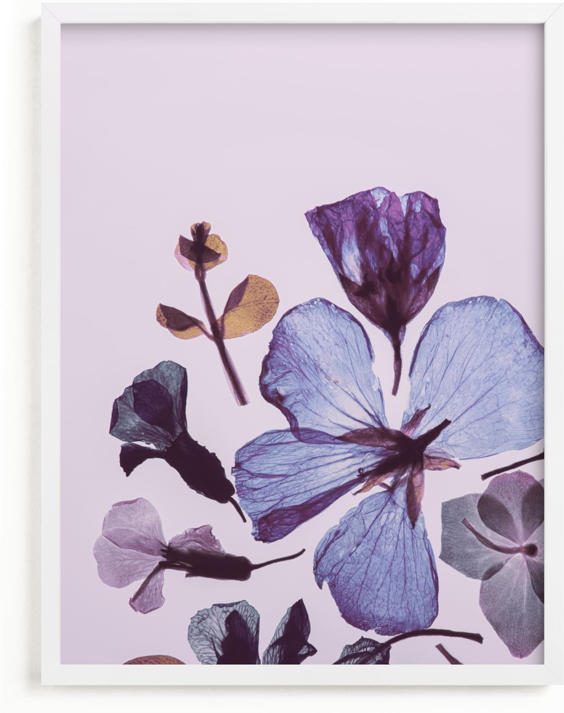 This is a blue kids wall art by Karen Kardatzke called Forever in Bloom.
