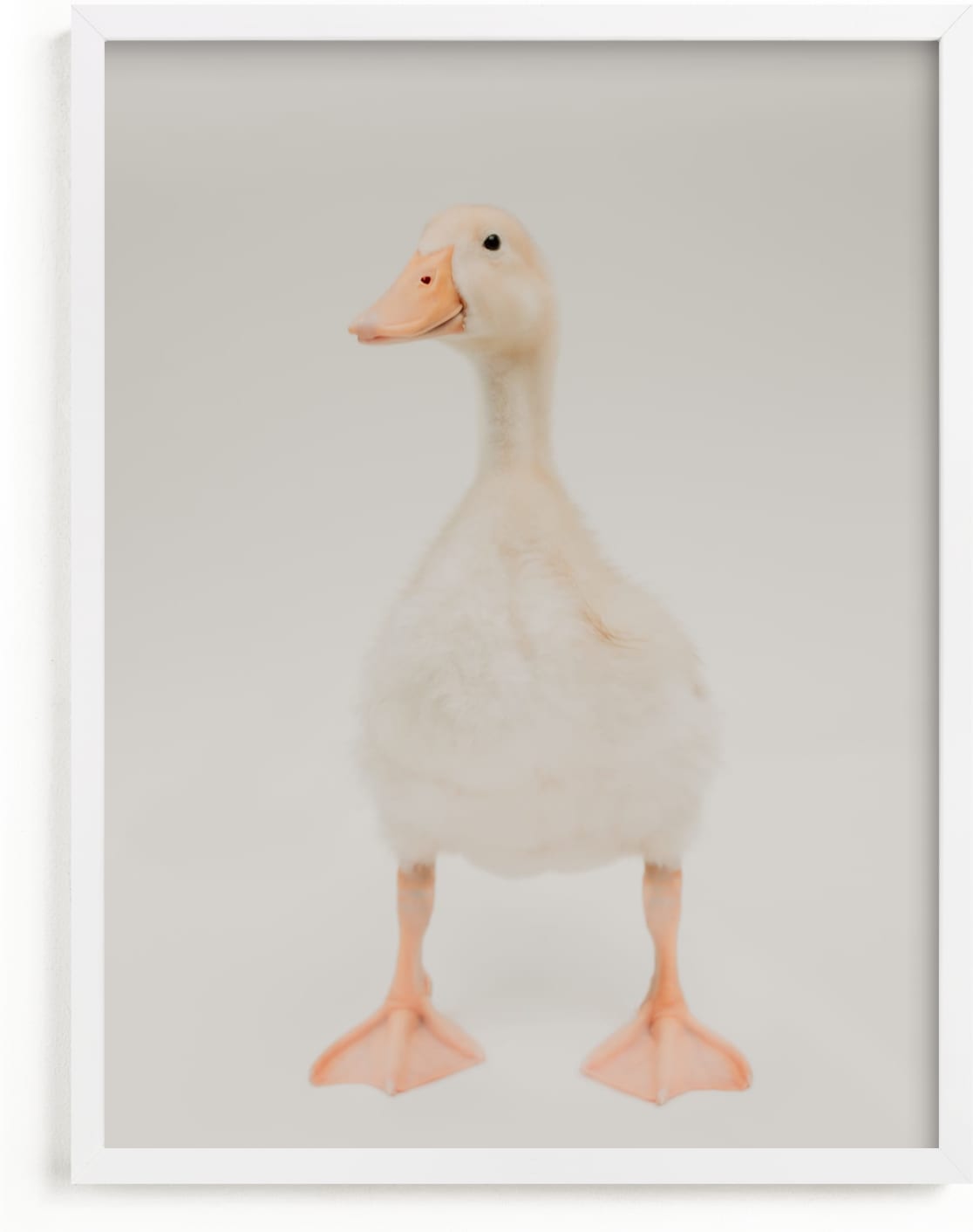 This is a ivory kids wall art by Alicia Abla called quack quack.
