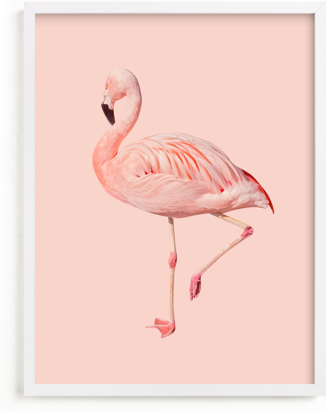This is a pink kids wall art by Jessica C Nugent called Pink Flamingo.