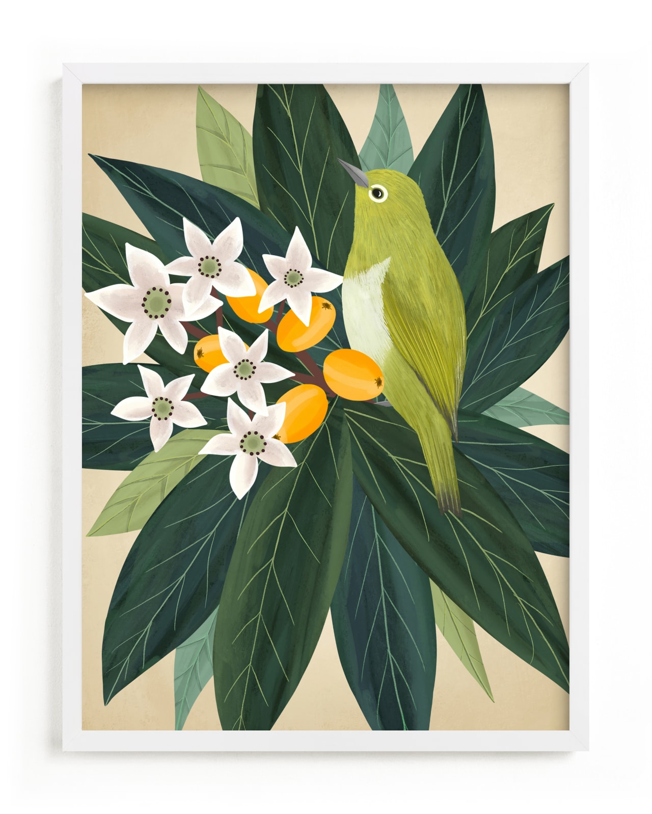 "Loquat" - Limited Edition Art Print by Jessie Burch in beautiful frame options and a variety of sizes.