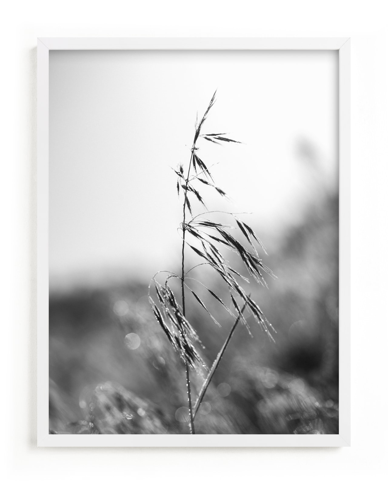"Dancing grass" - Limited Edition Art Print by Magdalena Kucova in beautiful frame options and a variety of sizes.