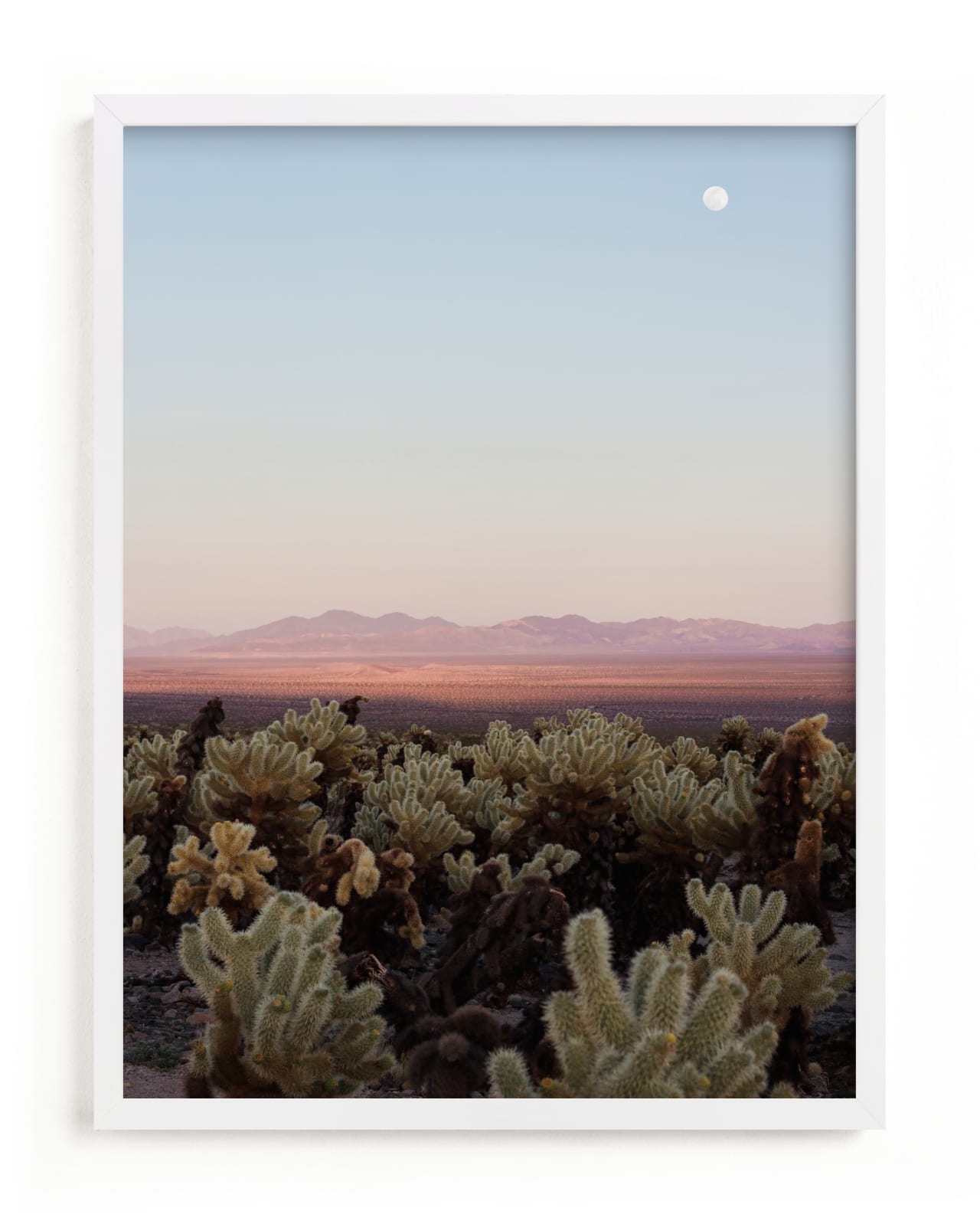 "Joshua Tree II" - Limited Edition Art Print by Jenna Gibson in beautiful frame options and a variety of sizes.