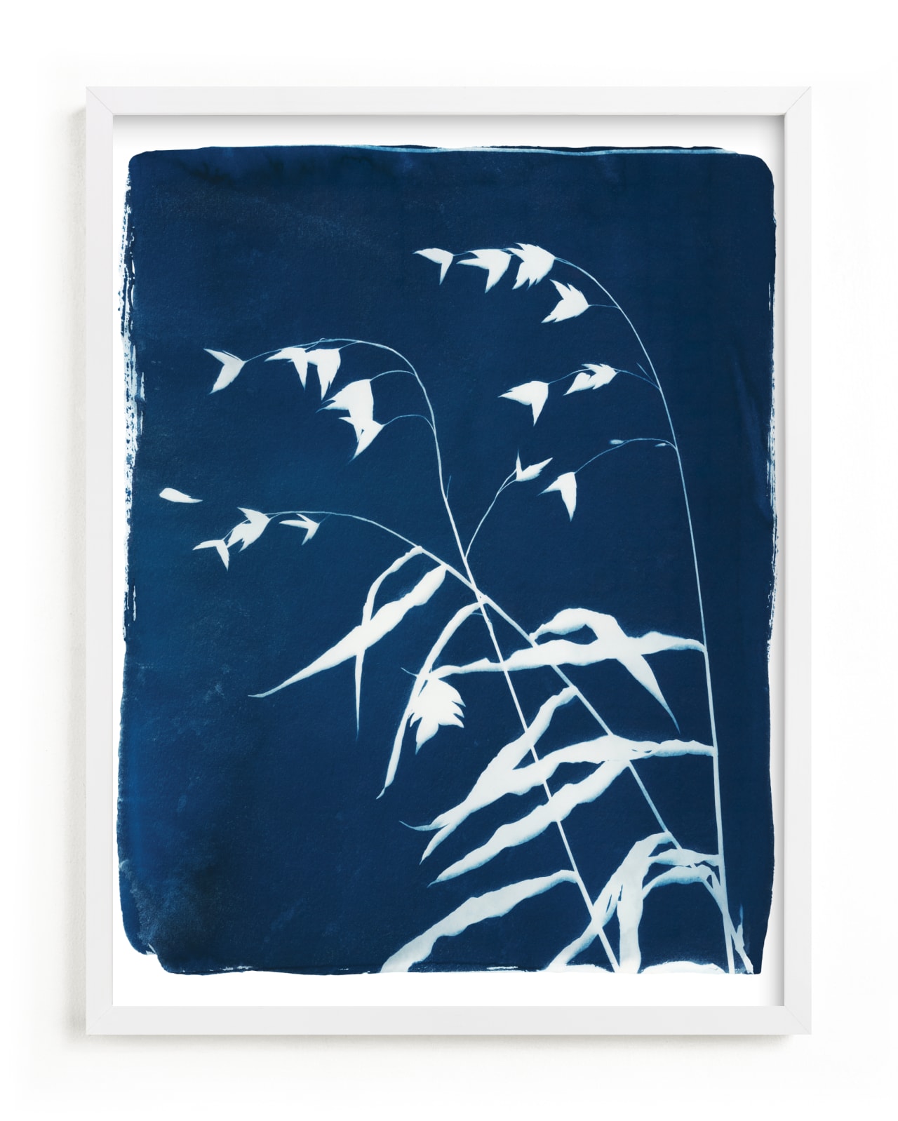 "Sea Oats Cyanotype" - Limited Edition Art Print by Renée Stramel in beautiful frame options and a variety of sizes.