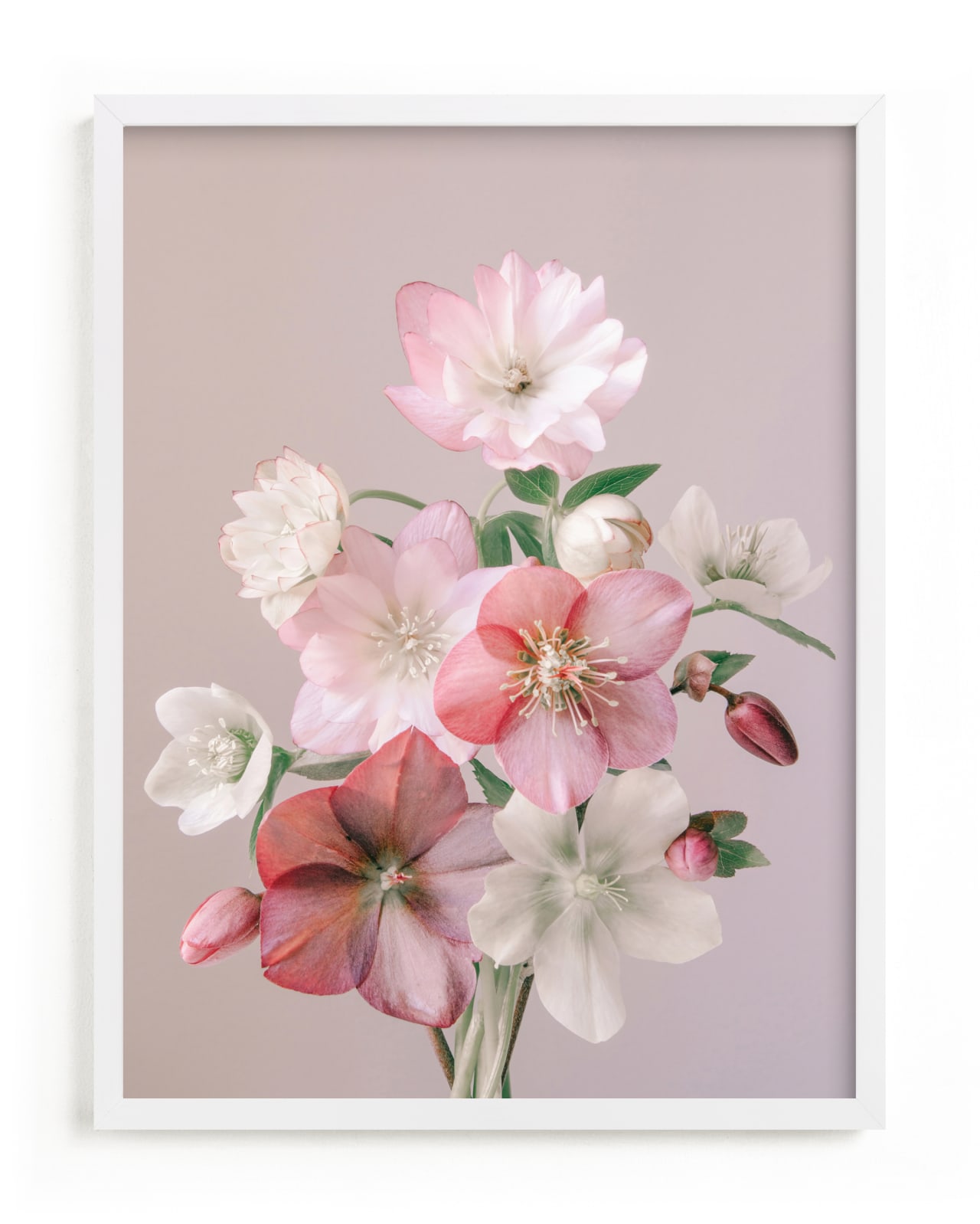 "Odette" - Limited Edition Art Print by Ali Lanenga in beautiful frame options and a variety of sizes.