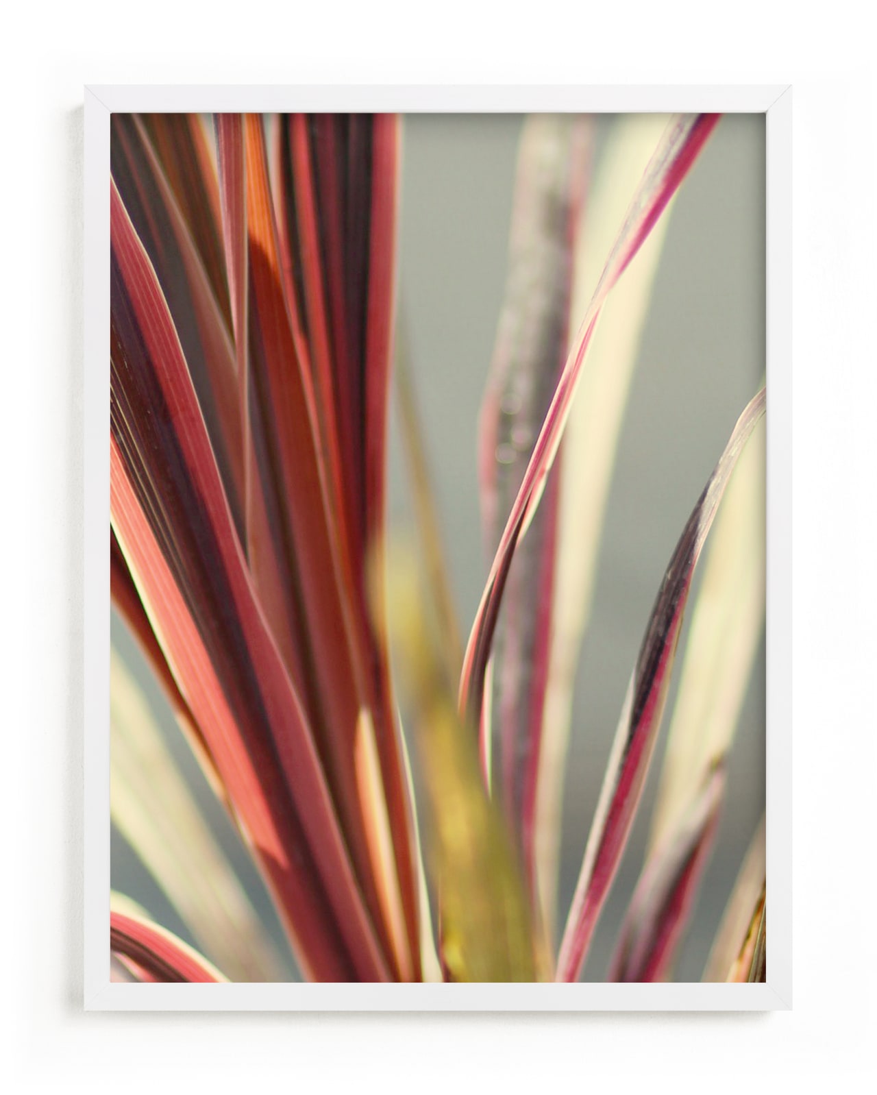 "bright palm" - Limited Edition Art Print by Baumbirdy in beautiful frame options and a variety of sizes.