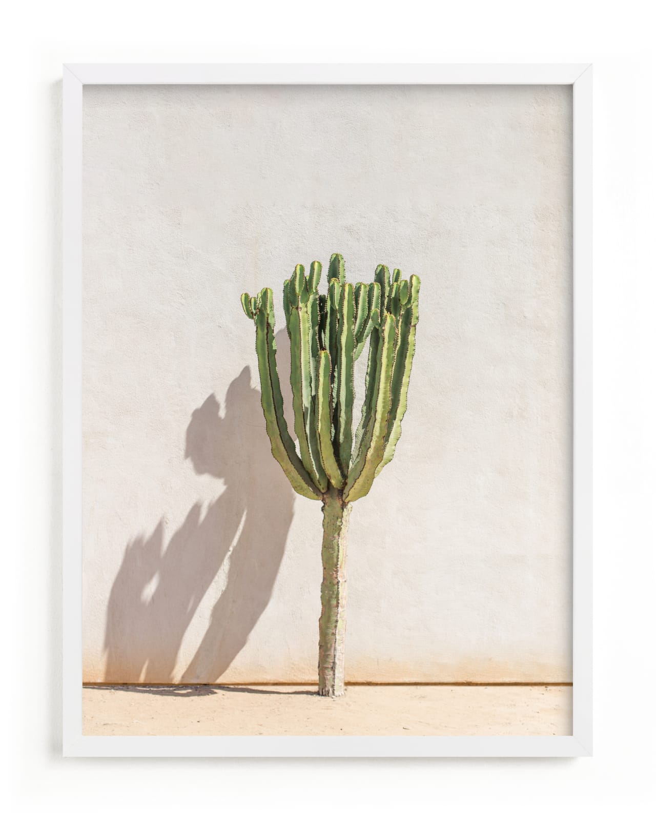 "Lone Cactus" - Limited Edition Art Print by Olivia Kanaley Inman in beautiful frame options and a variety of sizes.