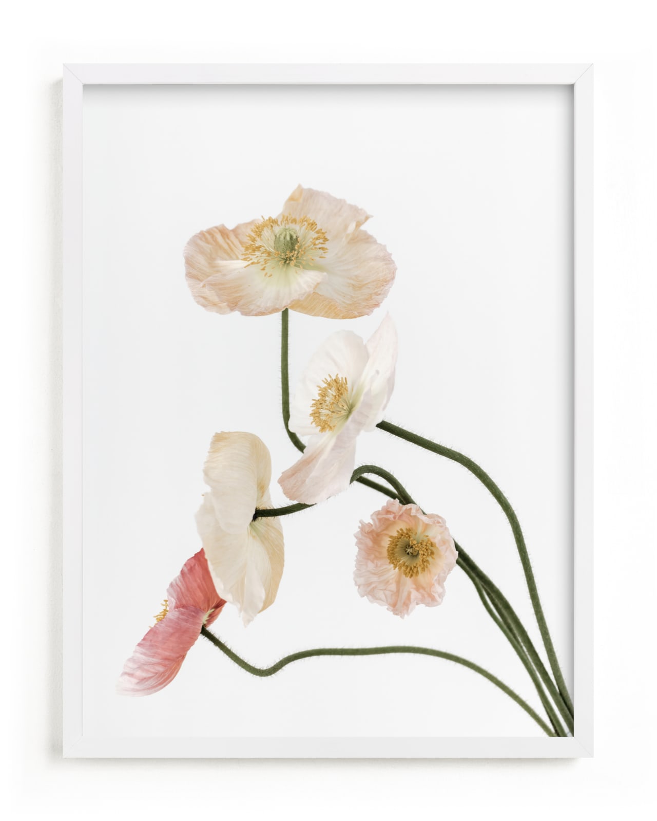 "Poppies II" - Limited Edition Art Print by Blustery August in beautiful frame options and a variety of sizes.