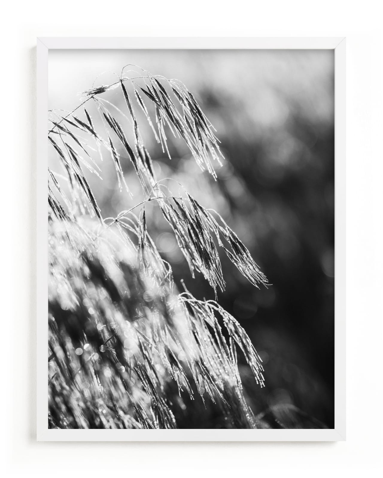 "Dancing grass II" - Limited Edition Art Print by Magdalena Kucova in beautiful frame options and a variety of sizes.