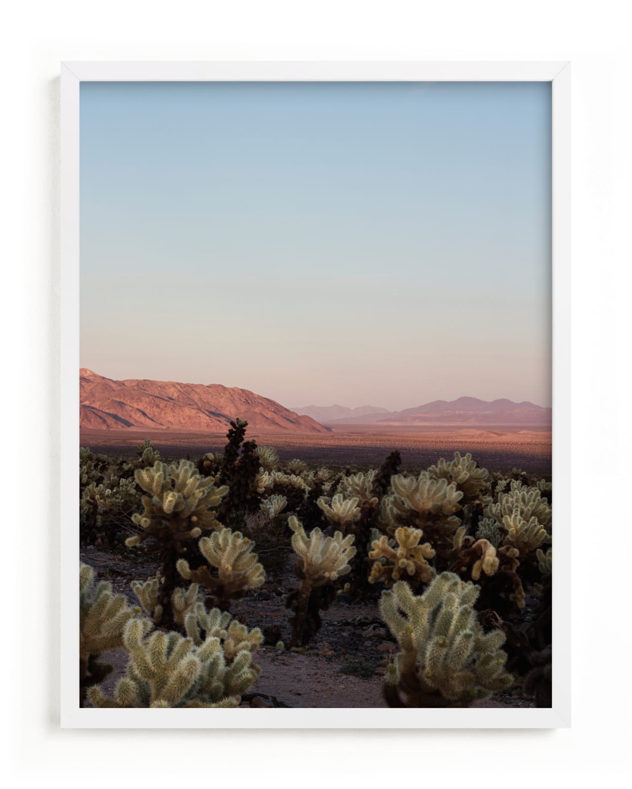 "Joshua Tree I" - Limited Edition Art Print by Jenna Gibson in beautiful frame options and a variety of sizes.