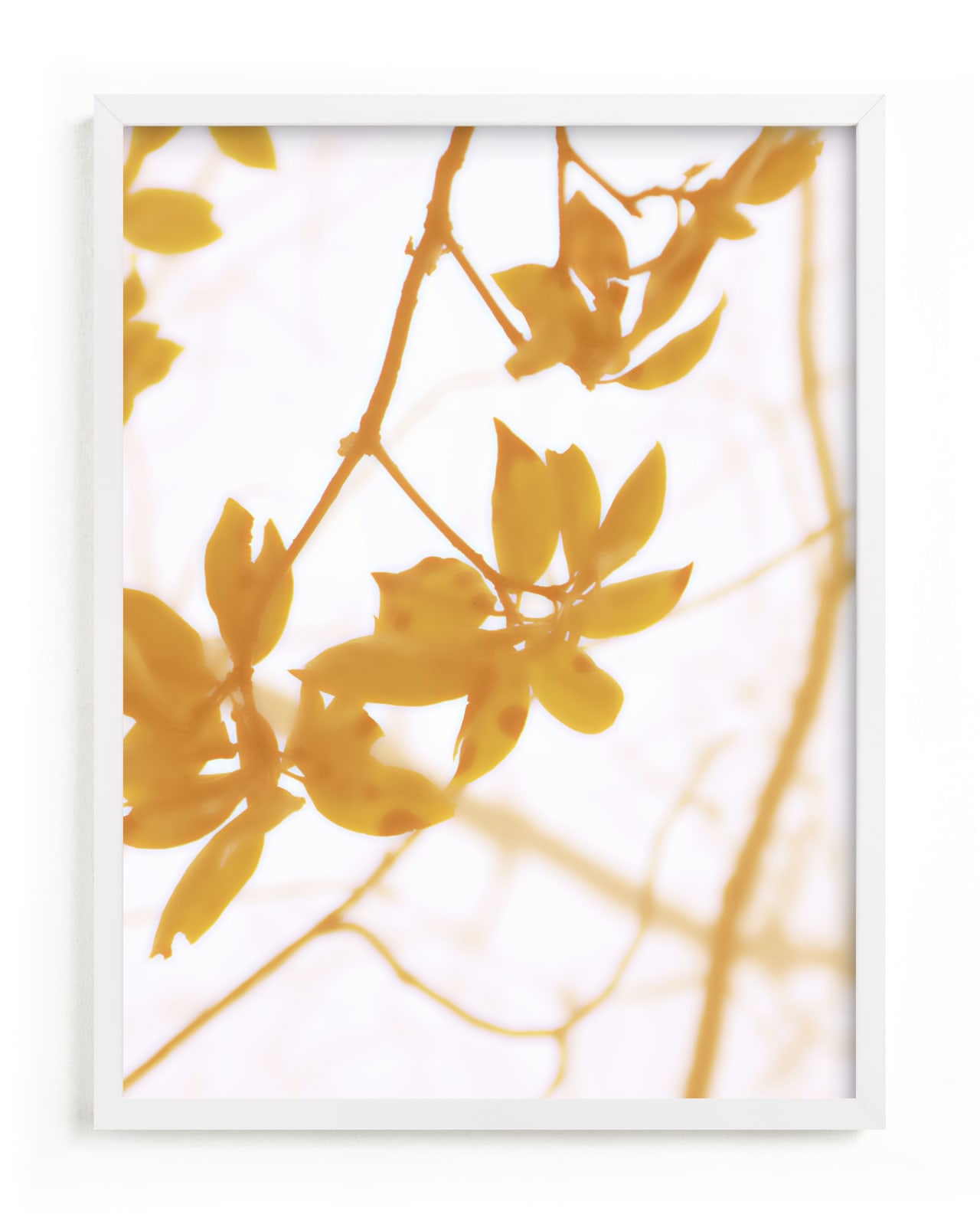 "Morning I" - Limited Edition Art Print by Stellax Creative in beautiful frame options and a variety of sizes.