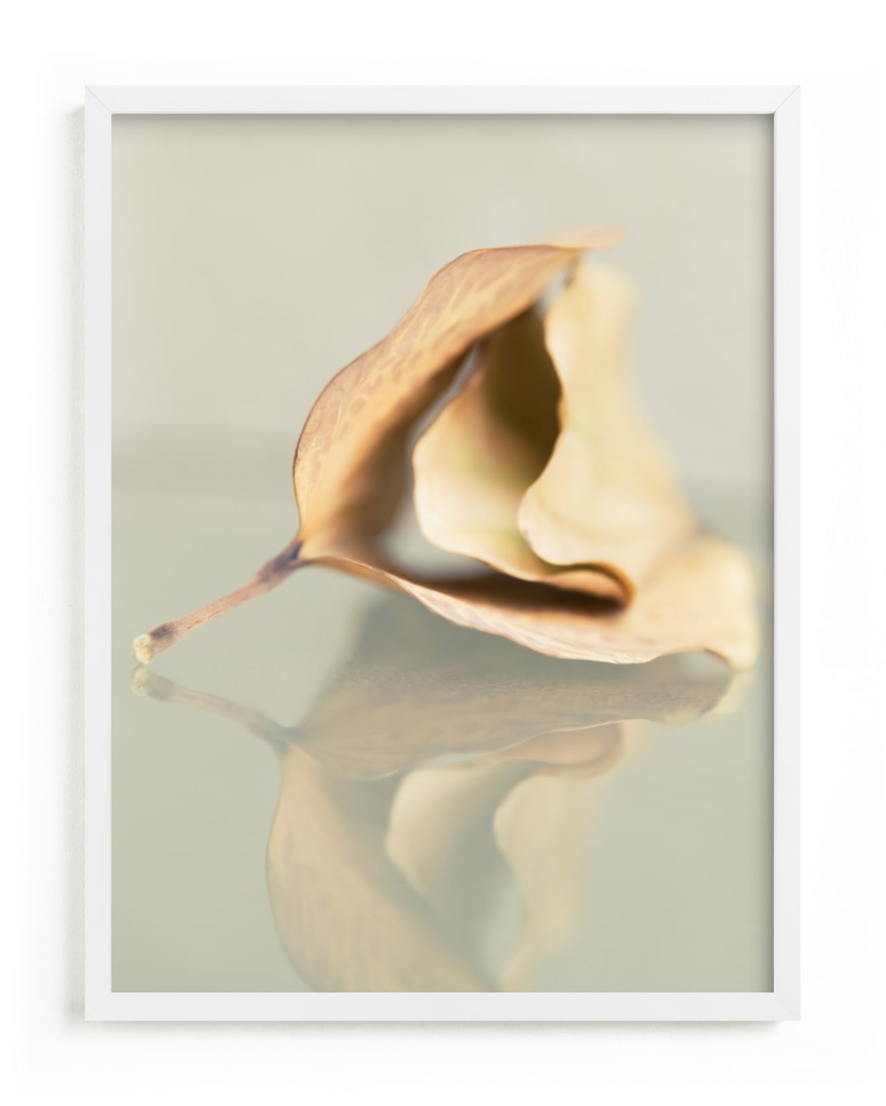 "Harmony" - Limited Edition Art Print by Shawna Urban in beautiful frame options and a variety of sizes.