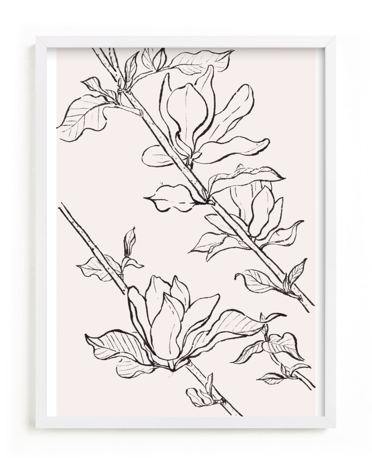 "magnolia study" - Limited Edition Art Print by Qing Ji in beautiful frame options and a variety of sizes.