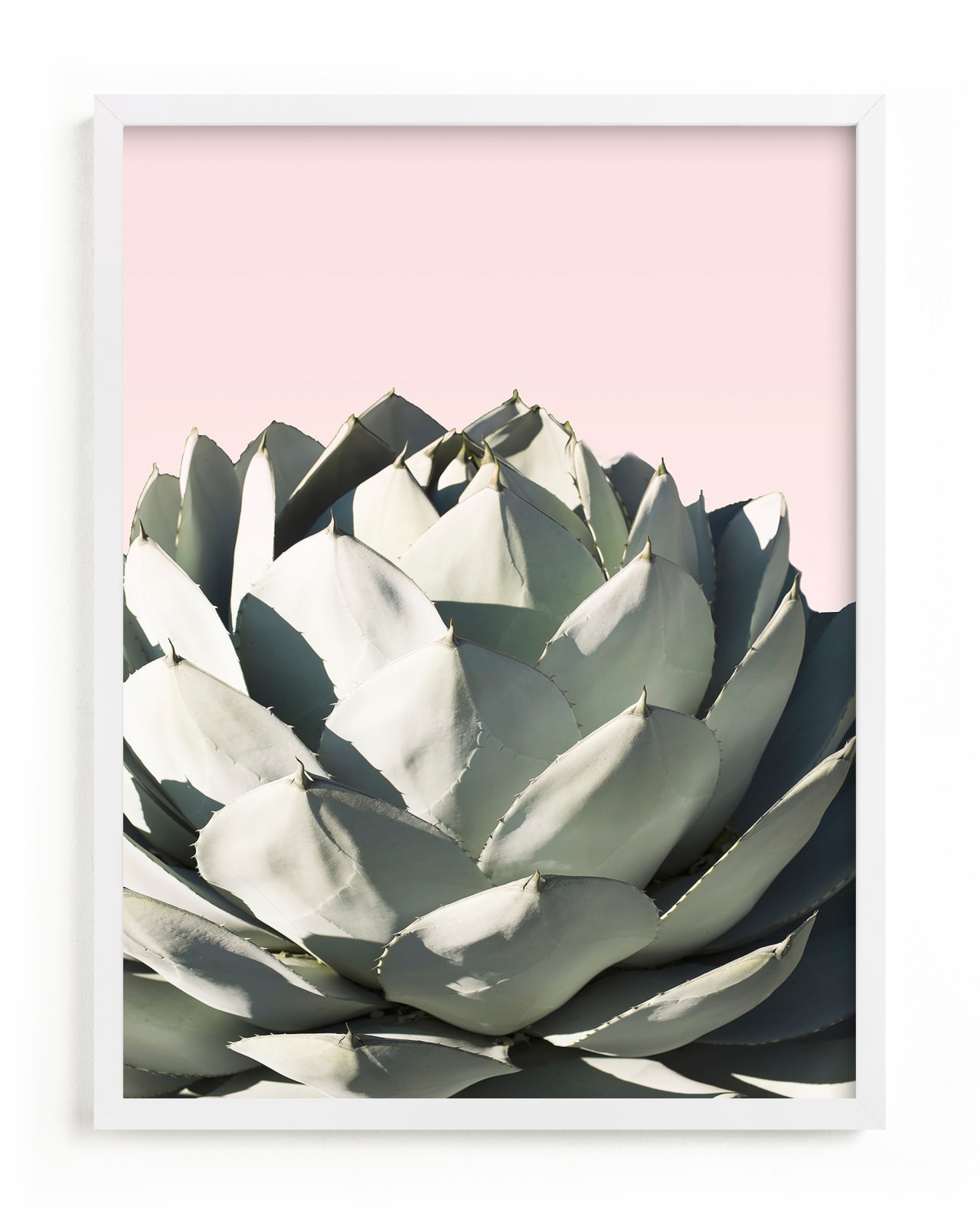 "Pink Agave" - Limited Edition Art Print by Wilder California in beautiful frame options and a variety of sizes.