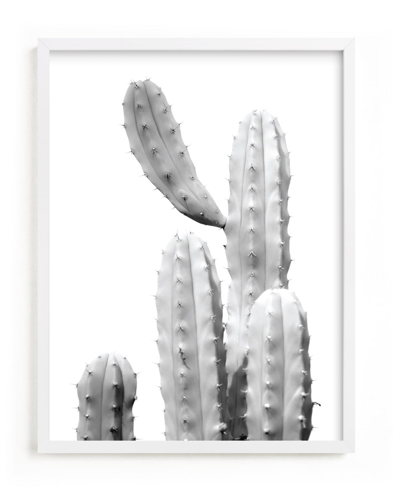 "Moorten Cactus Study 1" - Limited Edition Art Print by Lisa Sundin in beautiful frame options and a variety of sizes.