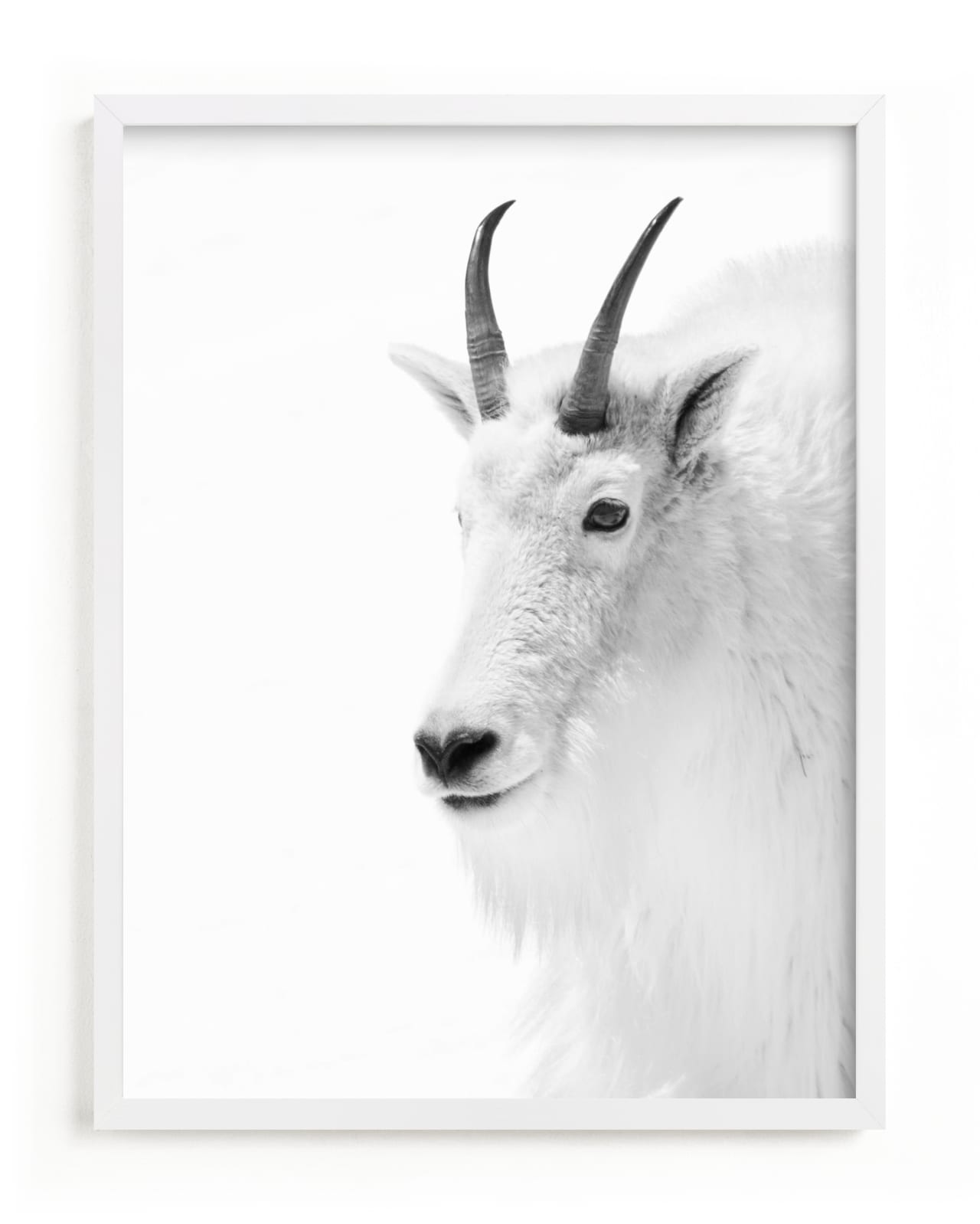 "Fierce" - Limited Edition Art Print by Jamie Lollback in beautiful frame options and a variety of sizes.