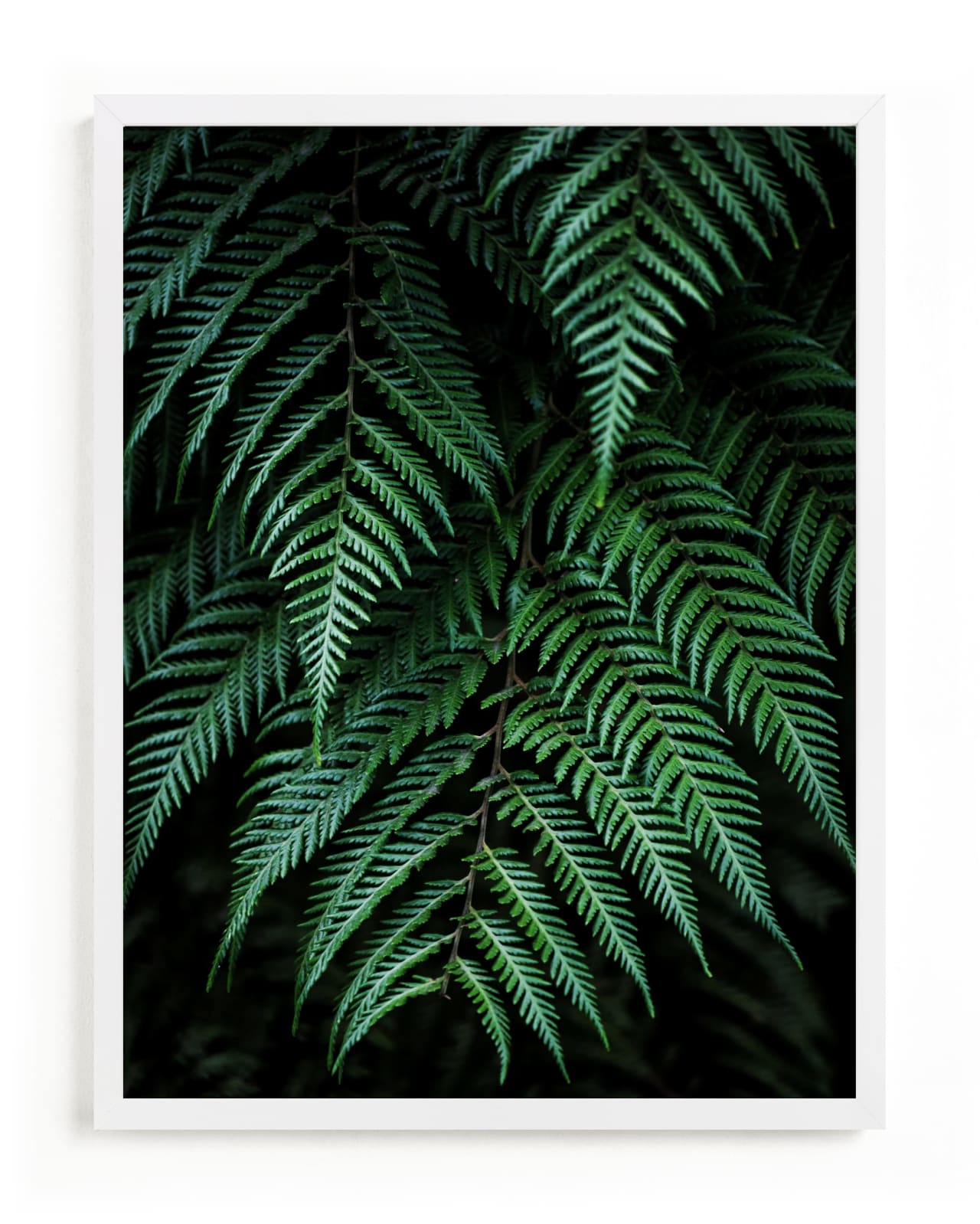 "Layers of green" - Limited Edition Art Print by Bethania Lima in beautiful frame options and a variety of sizes.