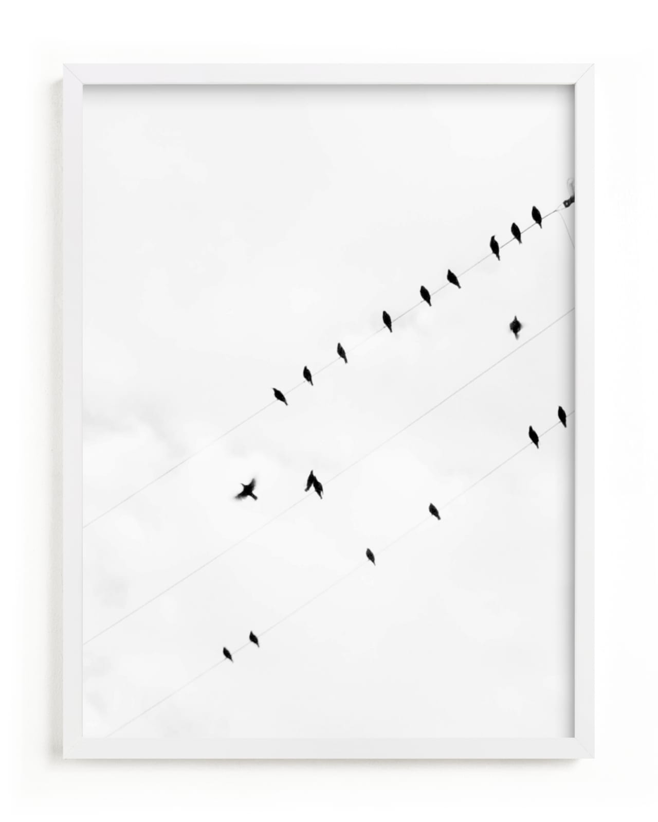 "Birds on a Wire" - Limited Edition Art Print by Angela Thompson in beautiful frame options and a variety of sizes.