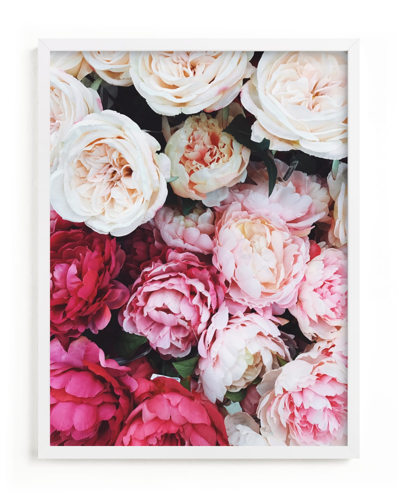 "peony palette" - Limited Edition Art Print by Marabou Design in beautiful frame options and a variety of sizes.