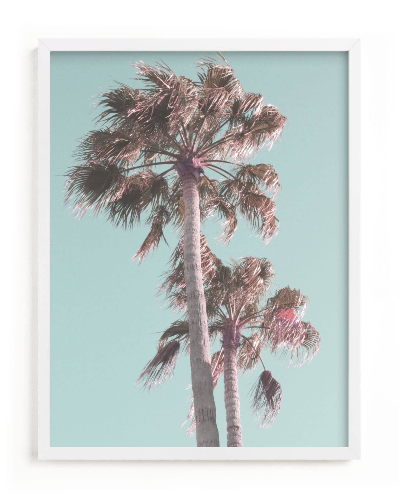 "Sun Bleached Palm Trees" - Limited Edition Art Print by Baumbirdy in beautiful frame options and a variety of sizes.