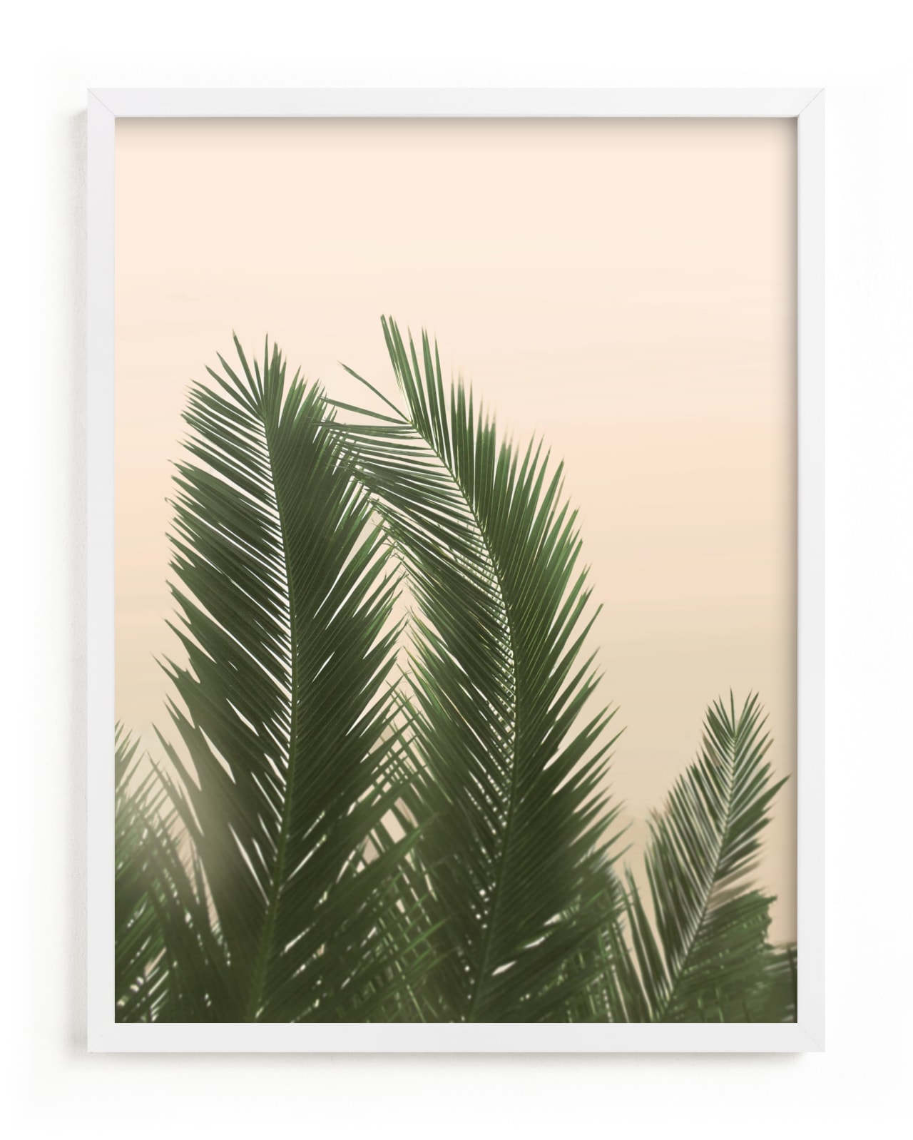 "Tropical Palm Tree" - Limited Edition Art Print by Wilder California in beautiful frame options and a variety of sizes.