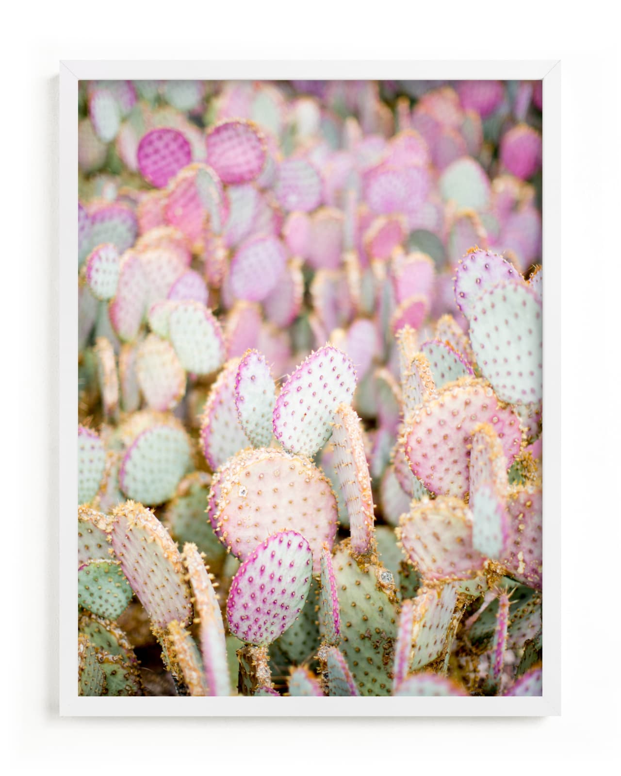 "PINK CACTI" - Grownup Open Edition Non-custom Art Print by Shannon Kirsten in beautiful frame options and a variety of sizes.