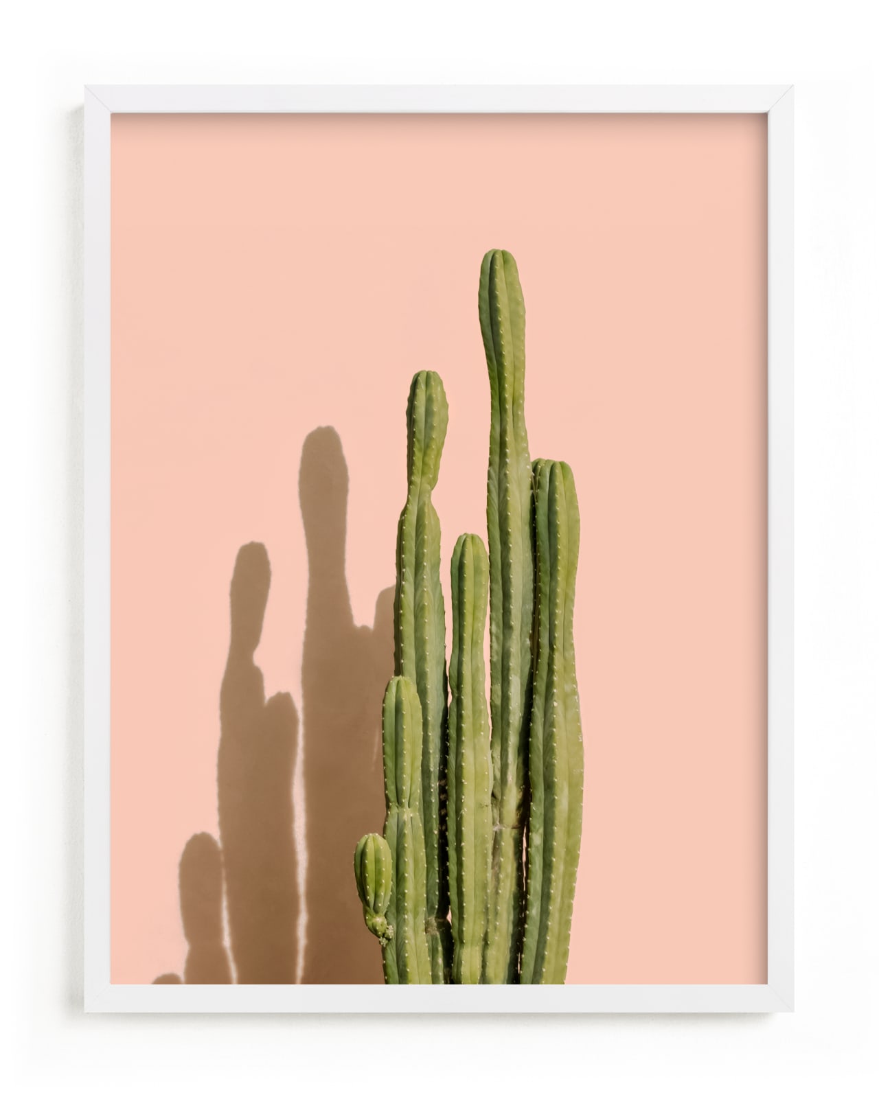 "Palm Desert Cactus" - Open Edition Fine Art Print by Lisa Sundin in beautiful frame options and a variety of sizes.