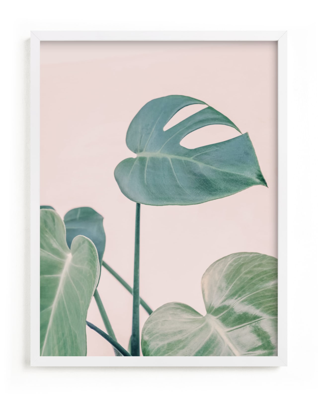 "Botanical No. 38" - Open Edition Fine Art Print by Jennifer Rigsby in beautiful frame options and a variety of sizes.