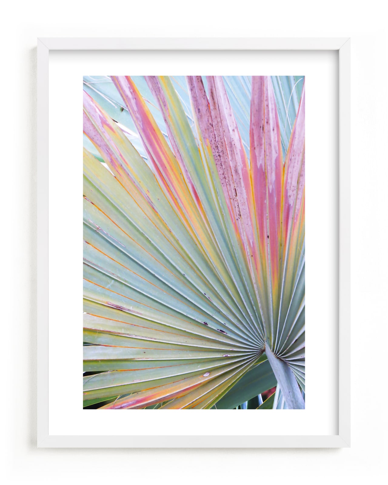 "Colorful fan 2" - Limited Edition Art Print by Eliane Lamb in beautiful frame options and a variety of sizes.