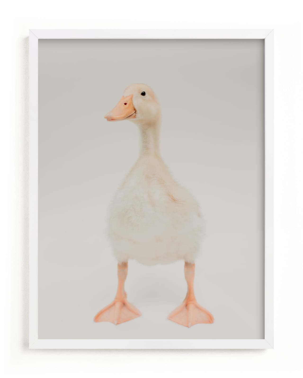 "quack quack" - Limited Edition Art Print by Alicia Abla in beautiful frame options and a variety of sizes.