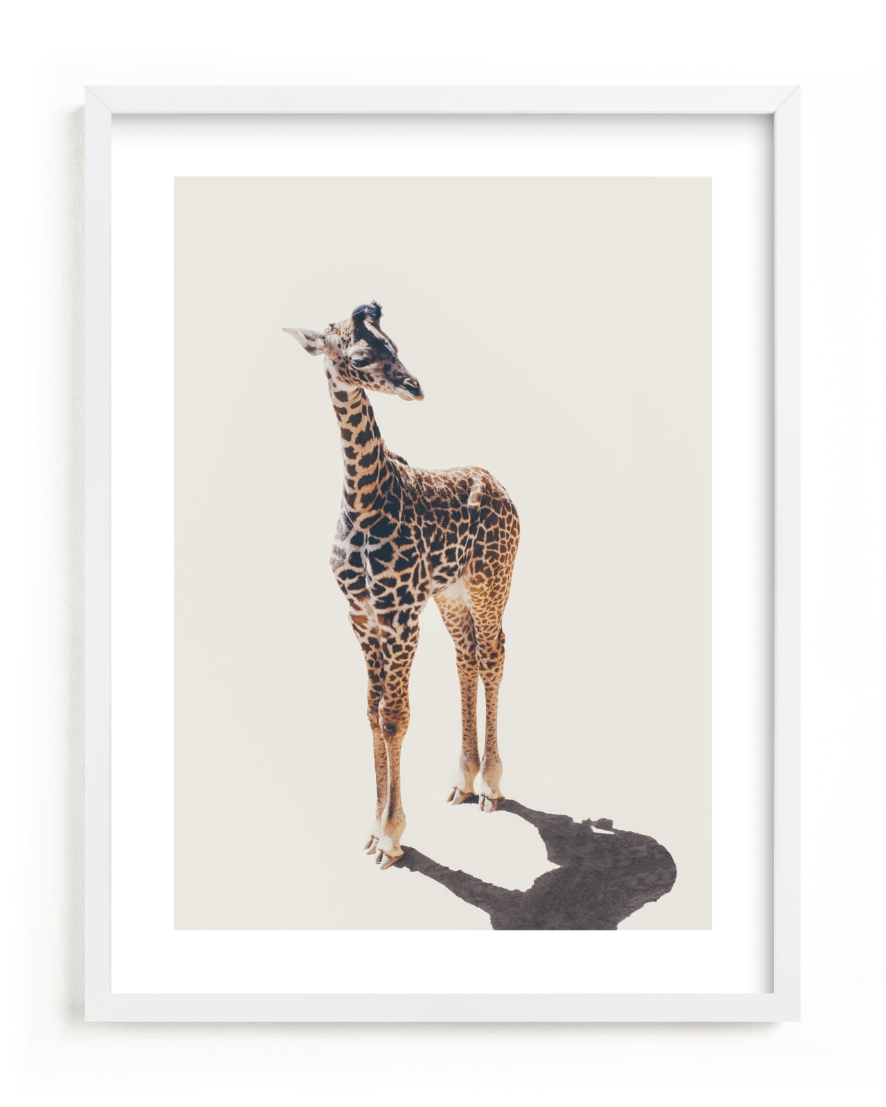 "Baby Giraffe" - Limited Edition Art Print by Kamala Nahas in beautiful frame options and a variety of sizes.