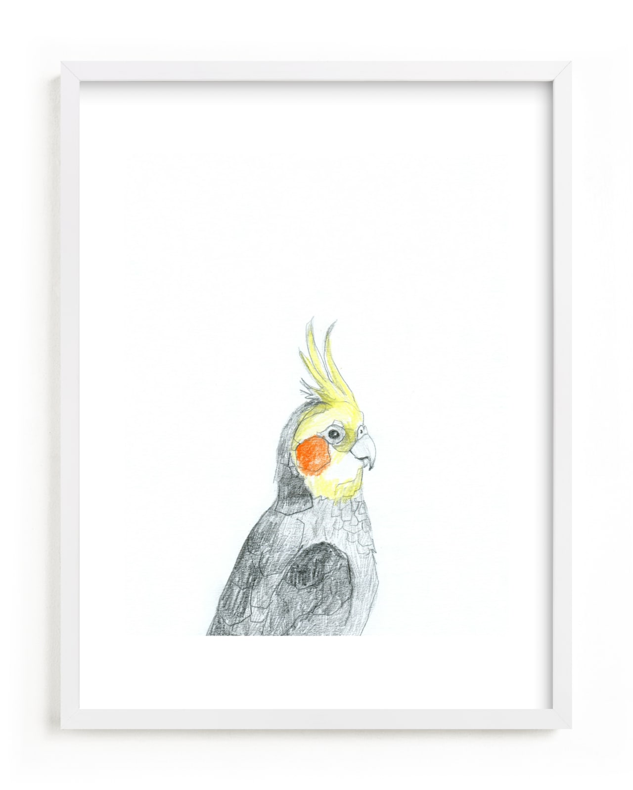 "Cockatiel" - Limited Edition Art Print by Kirsta Benedetti in beautiful frame options and a variety of sizes.