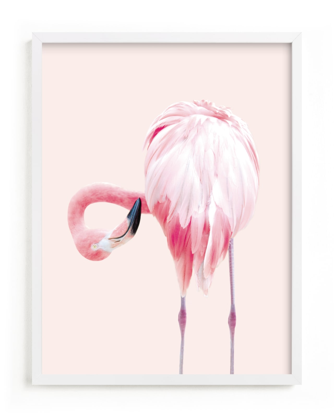 "PINK 2" - Limited Edition Art Print by Rega in beautiful frame options and a variety of sizes.