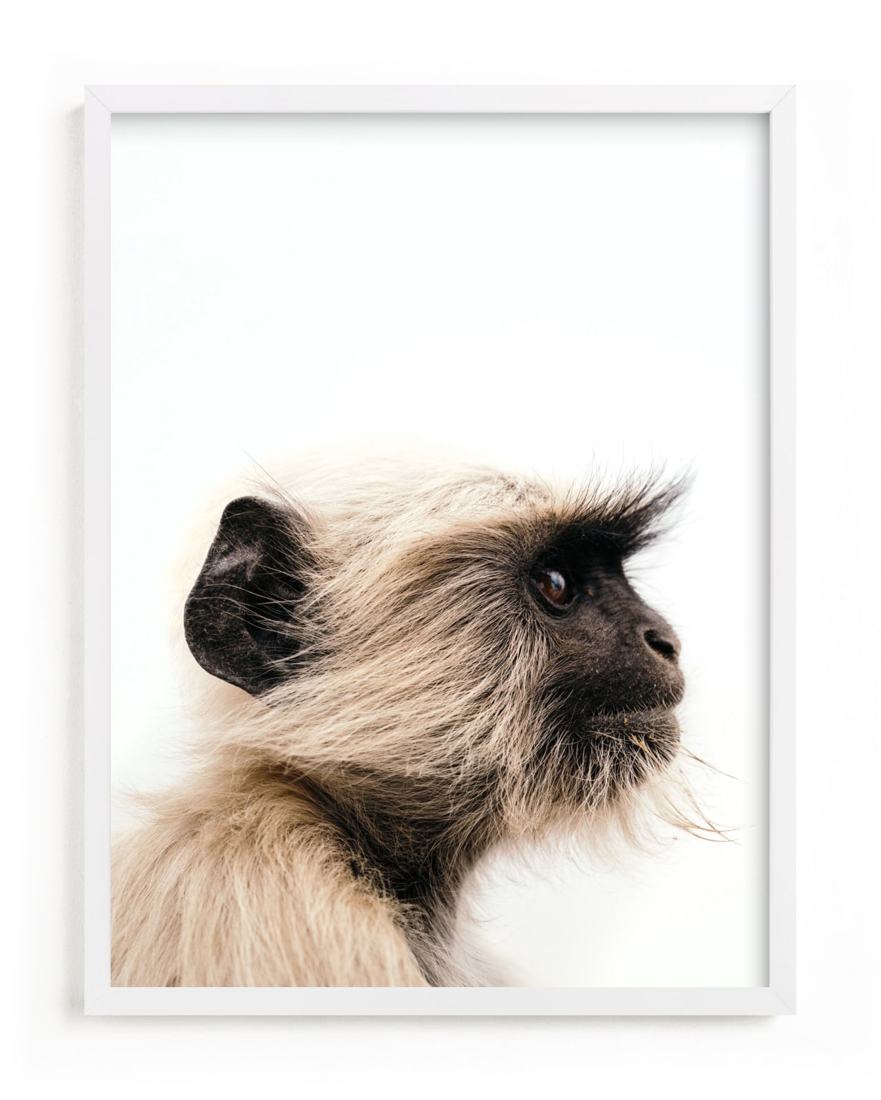 "Monkey See" by Kamala Nahas in beautiful frame options and a variety of sizes.