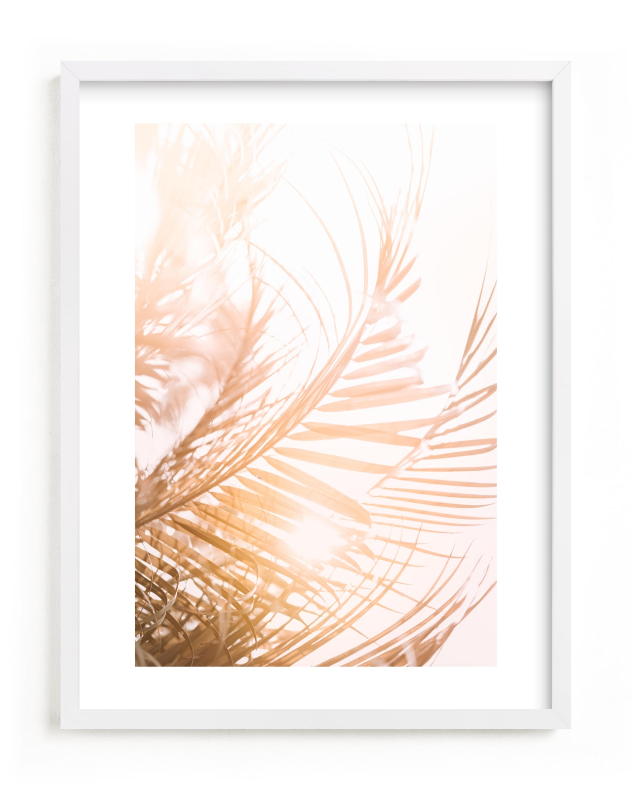 "pretty palms II" by Kamala Nahas in beautiful frame options and a variety of sizes.