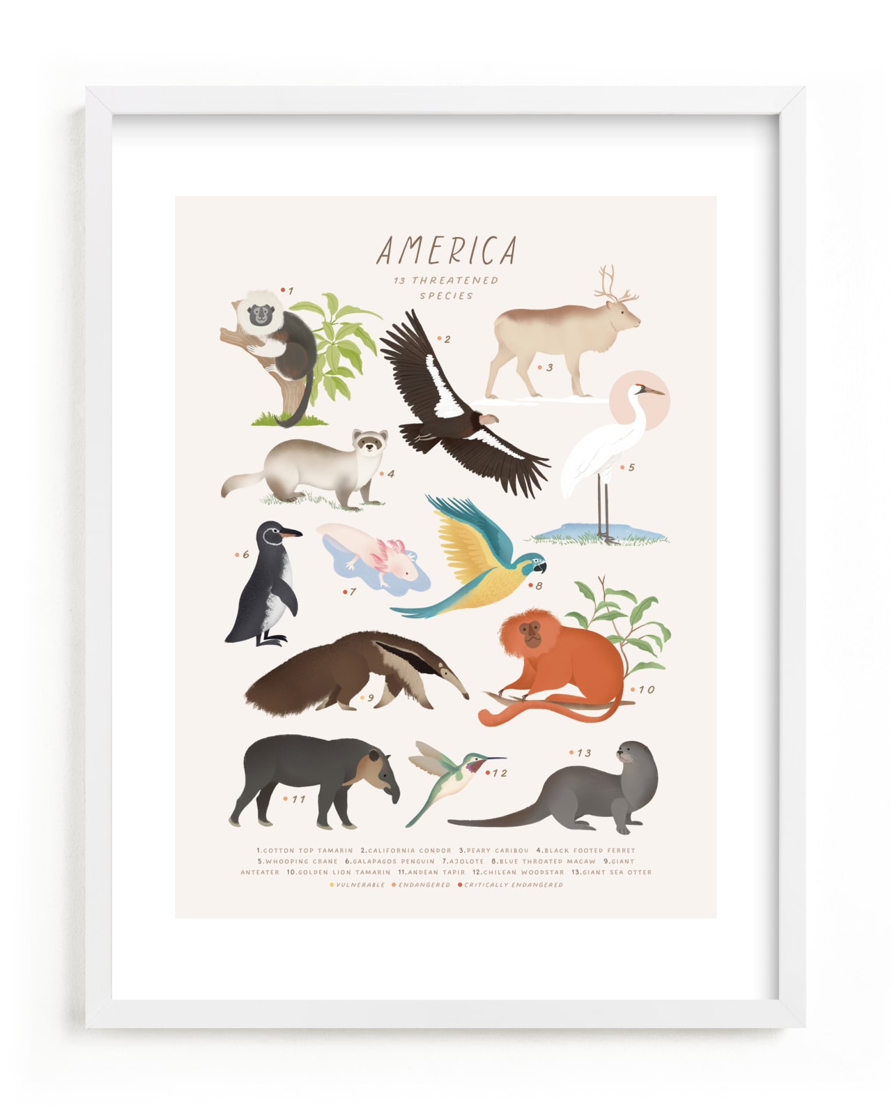 "America, endangered animals" by Sabrin Deirani in beautiful frame options and a variety of sizes.